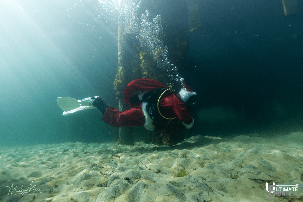 Underwater Christmas shot 10