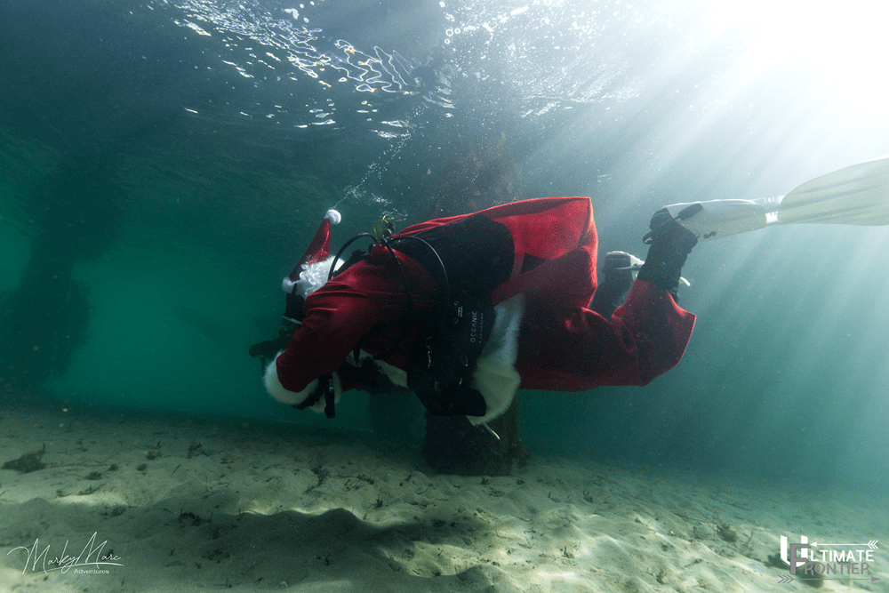 Underwater Christmas shot 11