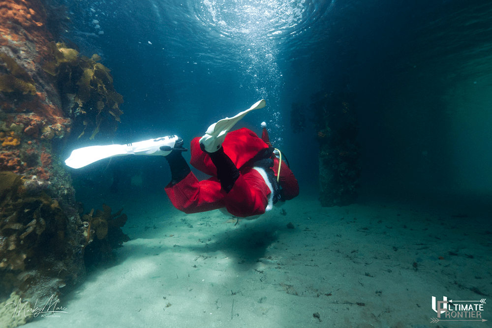 Underwater Christmas shot 12