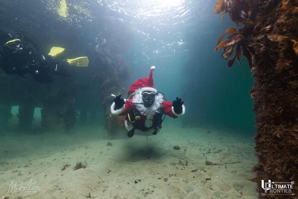 Underwater Christmas shot 3