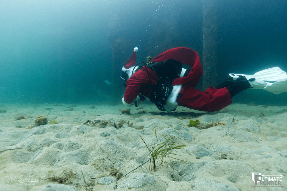 Underwater Christmas shot 5