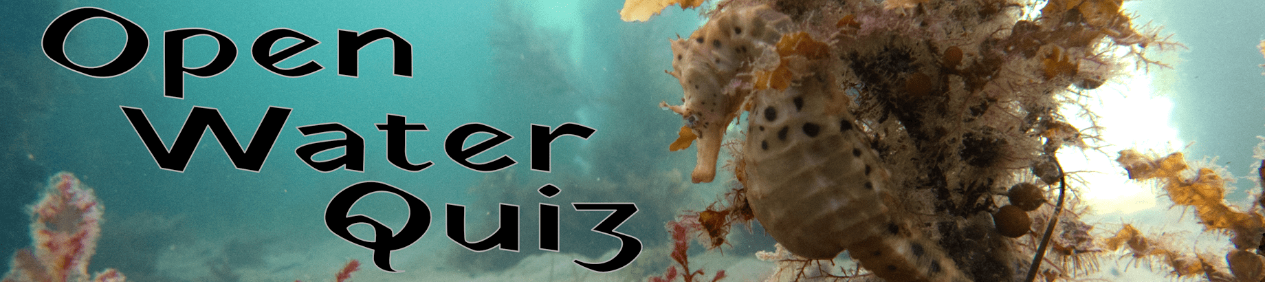 Open Water Theory Quiz Header